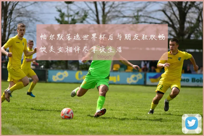 帕尔默落选世界杯后与朋友狂欢畅饮美女相伴尽享夜生活